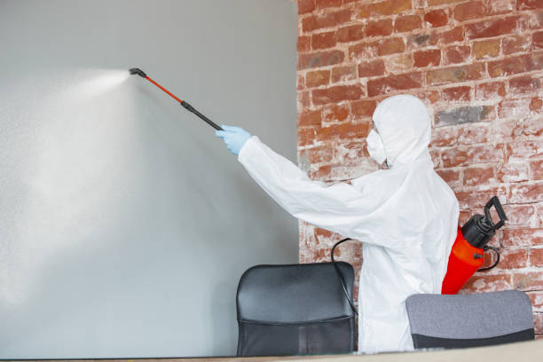 Best Airborne Mold Testing  in Fishersville, VA