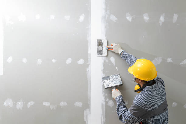 Best Residential Mold Inspection & Testing  in Fishersville, VA