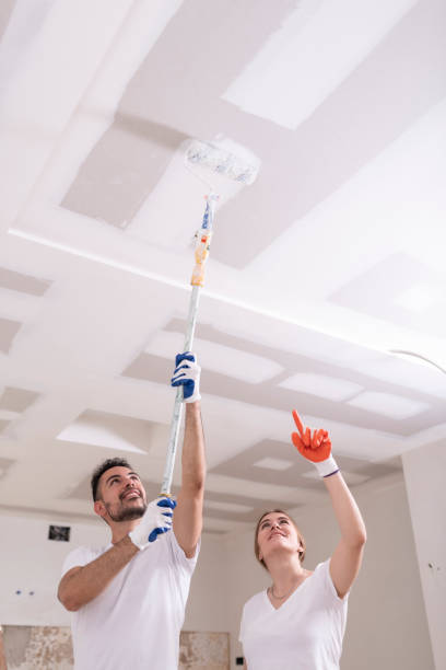 Best Commercial Mold Inspection  in Fishersville, VA
