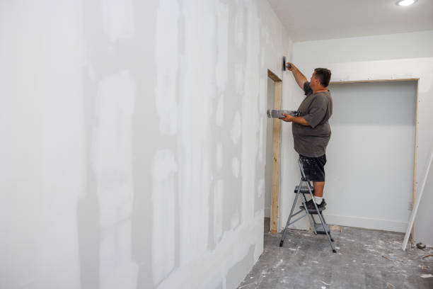 Best Black Mold Removal  in Fishersville, VA