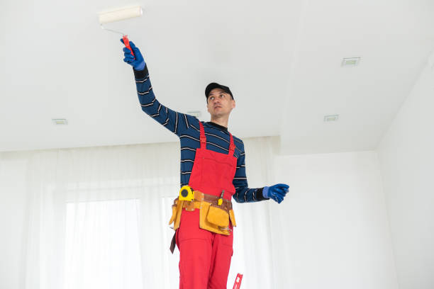 Best Comprehensive Air Testing for Mold Contaminants  in Fishersville, VA