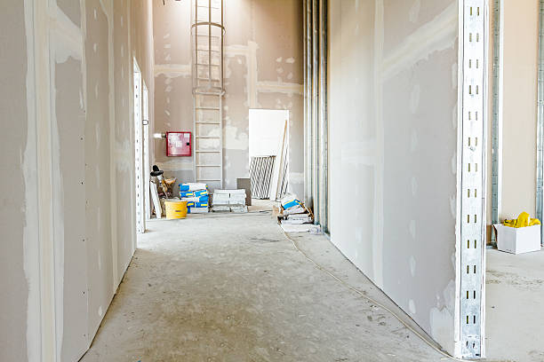 Best Mold Documentation for Insurance Claims  in Fishersville, VA