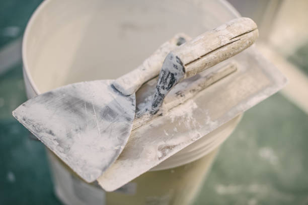 Best Mold Remediation for Vacation Homes  in Fishersville, VA