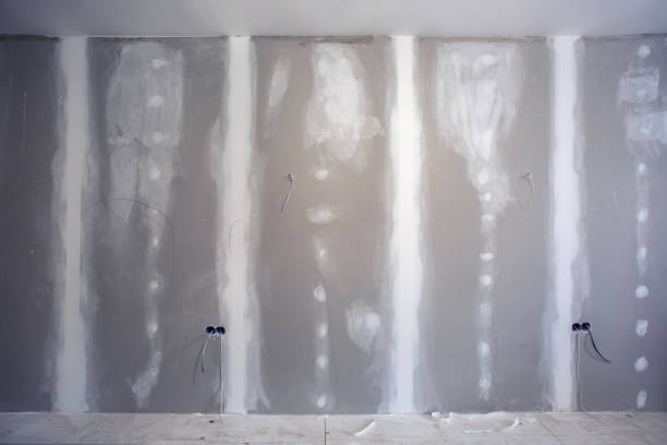  Fishersville, VA Mold Removal Pros