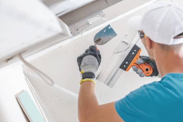 Best Crawl Space Mold Remediation  in Fishersville, VA